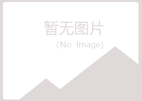 河南山柳化学有限公司